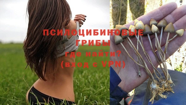 амф Балахна
