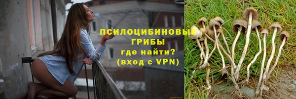 амф Балахна
